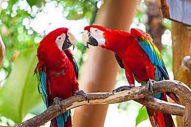 中世纪题材打僵尸生存制作游戏《天佑伯明翰》首个宣传预告放出